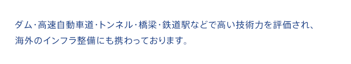 ダム・高速自動車道・トンネル・橋梁・鉄道駅などで高い技術力を評価され、海外のインフラ設備にも携わっております。